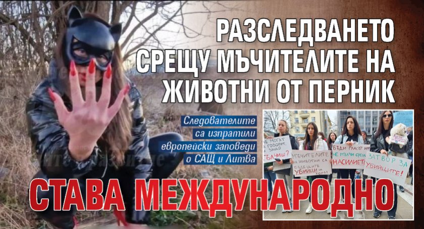 Разследването срещу мъчителите на животни от Перник става международно