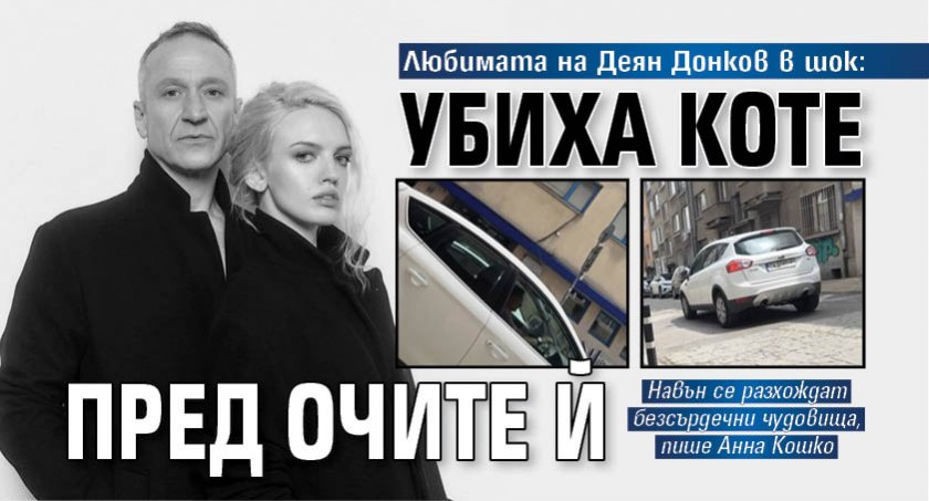 Любимата на Деян Донков в шок: Убиха коте пред очите й