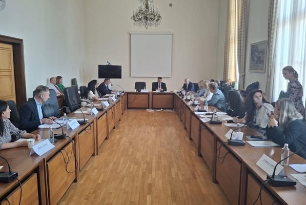 Механизъм за защита от домашното насилие ще приеме МС