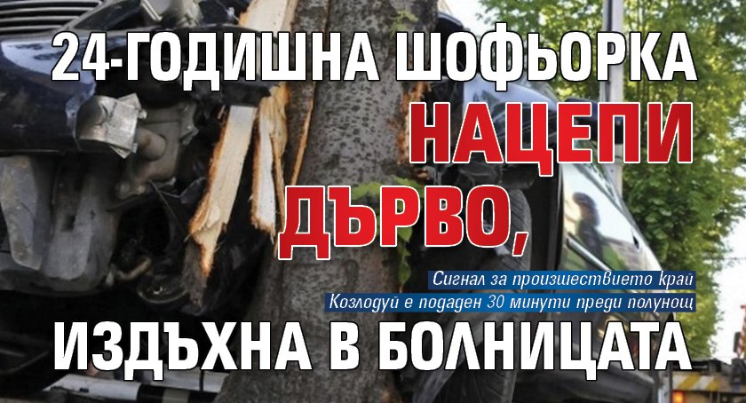 24-годишна шофьорка нацепи дърво, издъхна в болницата
