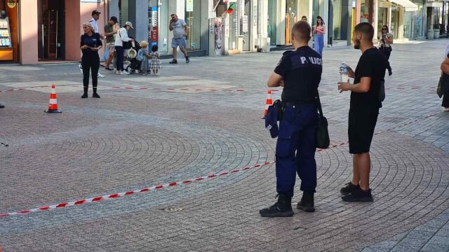 Заради пчели: Полицаи затвориха част от главната улица в Пловдив