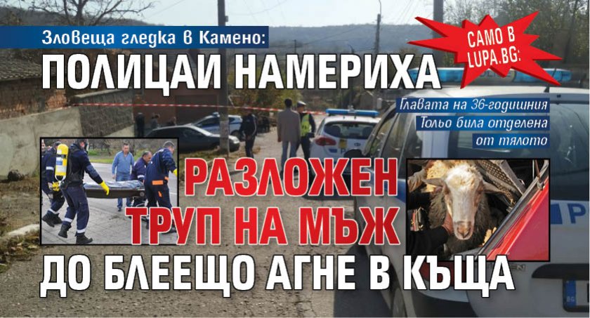 Само в Lupa.bg: Зловеща гледка в Камено: Полицаи намериха разложен труп на мъж до блеещо агне в къща