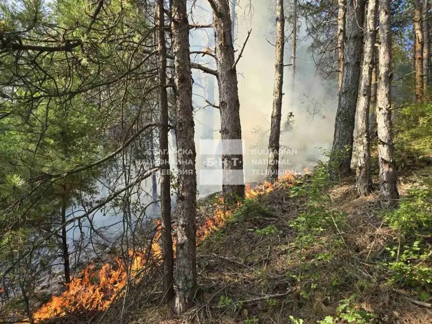 Голям пожар гори край Струмяни