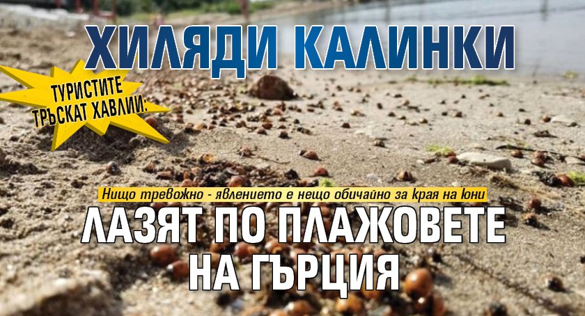 Туристите тръскат хавлии: Хиляди калинки лазят по плажовете на Гърция 