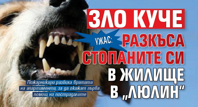 Ужас: Зло куче разкъса стопаните си в жилище в „Люлин“