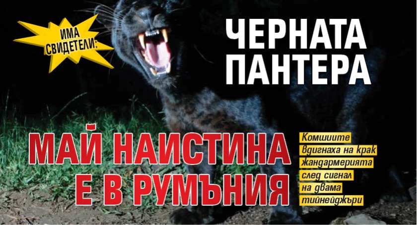 ИМА СВИДЕТЕЛИ: Черната пантера май наистина е в Румъния