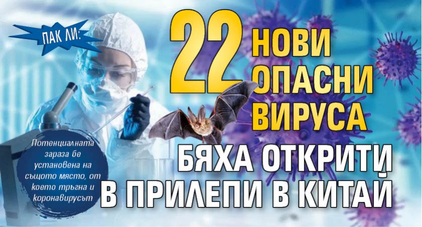 Пак ли: 22 нови опасни вируса бяха открити в прилепи в Китай