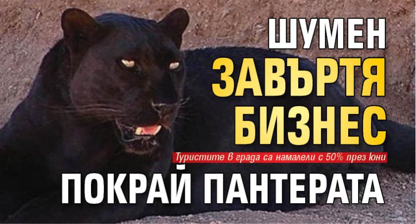 Шумен завъртя бизнес покрай пантерата