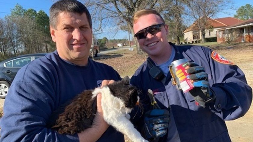 Пожарникари спасиха котка, заклещена в консервна кутия