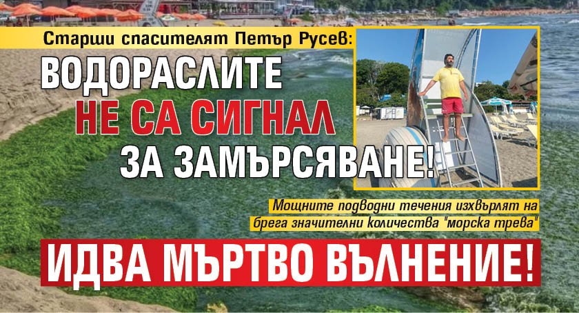 Старши спасителят Петър Русев: Водораслите не са сигнал за замърсяване! Идва мъртво вълнение!
