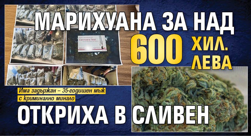 Марихуана за над 600 хил. лева откриха в Сливен