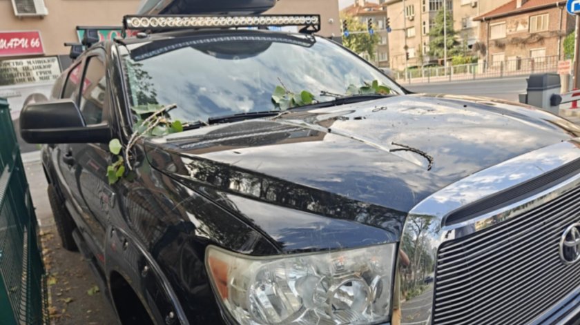 Огромен клон се е стоварил върху колата на бившия кмет