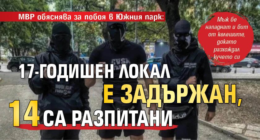 МВР обяснява за побоя в Южния парк: 17-годишен локал е задържан, 14 са разпитани 