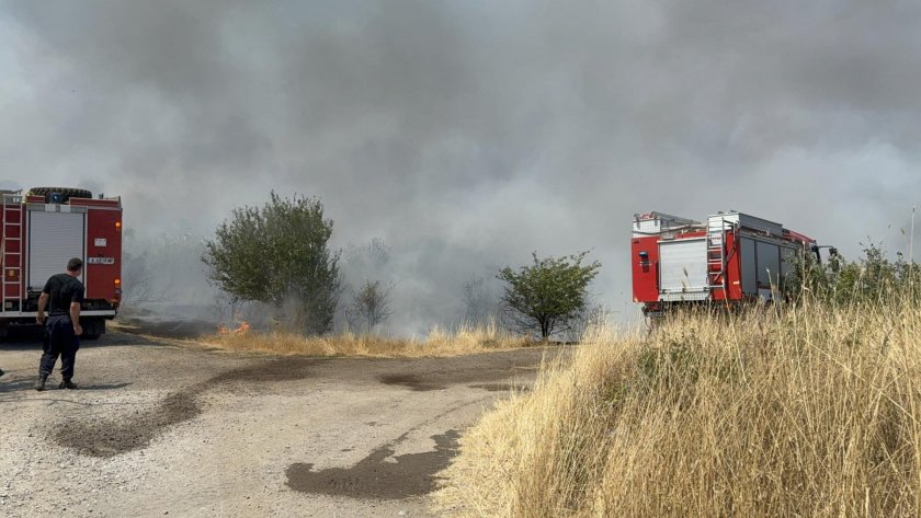 Пожарът в Острицата 2 е на голям периметър! Около 25