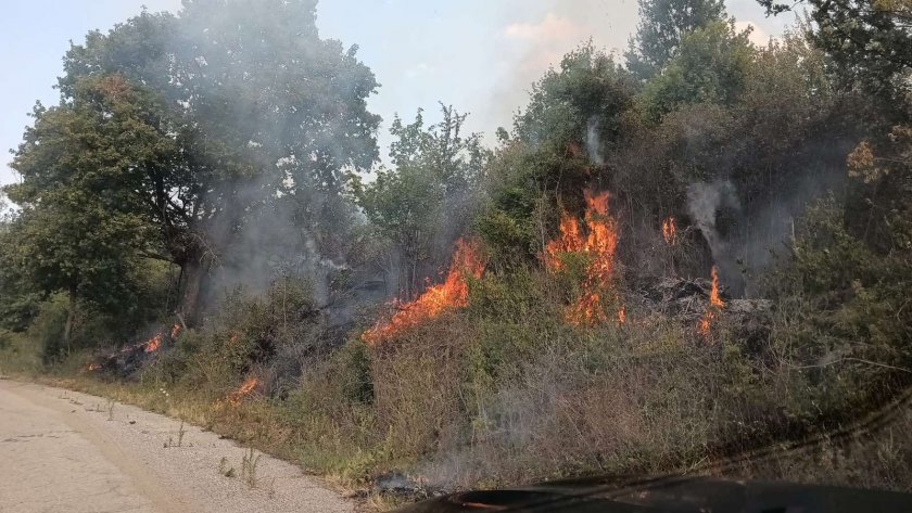 Огромен пожар край Видин, застрашени са множество къщи (СНИМКИ)