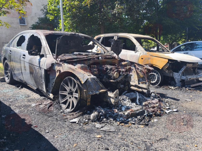 3 коли изгоряха при мистериозен пожар в Бургас