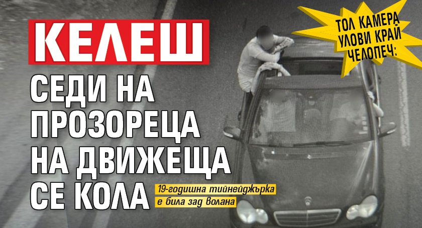Тол камера улови край Челопеч: Келеш седи на прозореца на движеща се кола