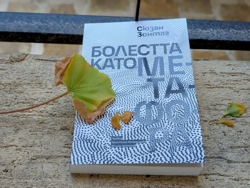 Тъмната лейди на интелектуалците и болестта като метафора