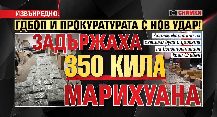 ИЗВЪНРЕДНО: ГДБОП и прокуратурата с нов удар! Задържаха 350 кила марихуана (СНИМКИ)