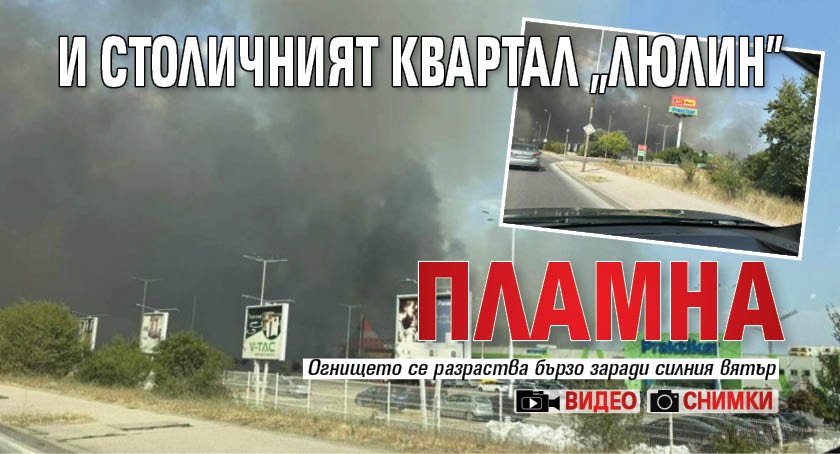И столичният квартал "Люлин" пламна (СНИМКИ+ВИДЕО)