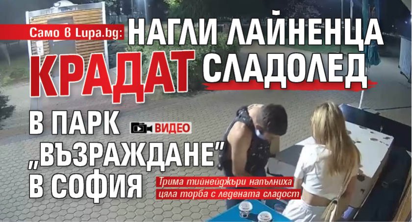Само в Lupa.bg: Нагли лайненца крадат сладолед в парк "Възраждане" в София (ВИДЕО)
