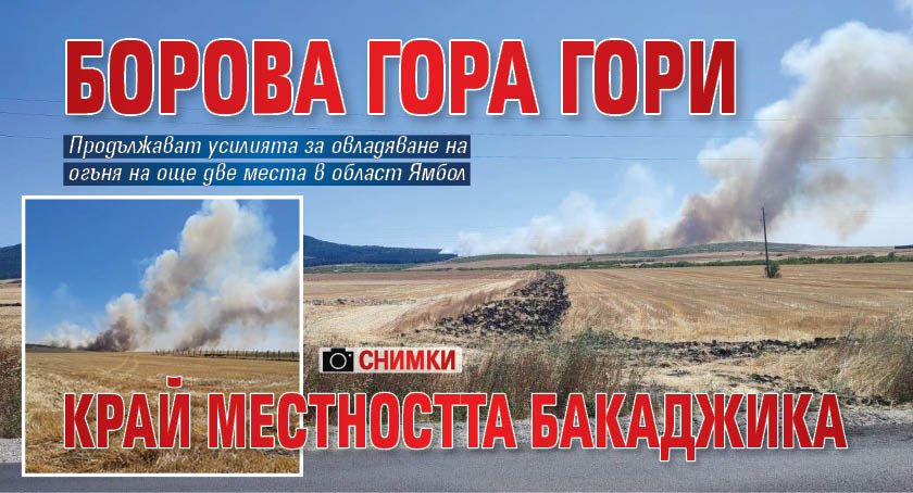 Борова гора гори край местността Бакаджика (СНИМКИ)