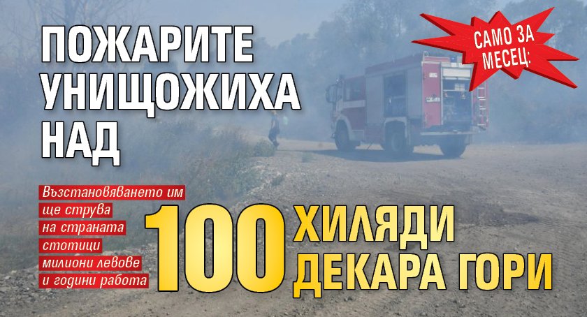 Само за месец: Пожарите унищожиха над 100 хиляди декара гори