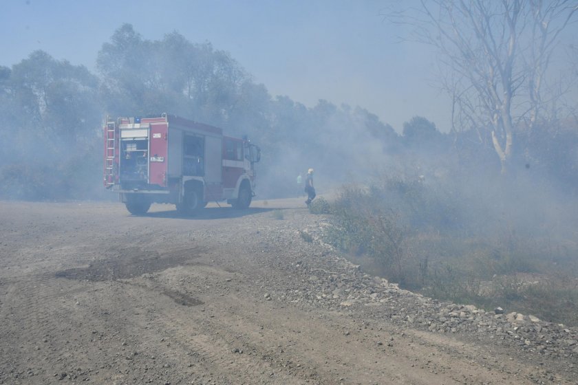 Каква е равносметката след пожарите, които завладяха много части на България? Данните