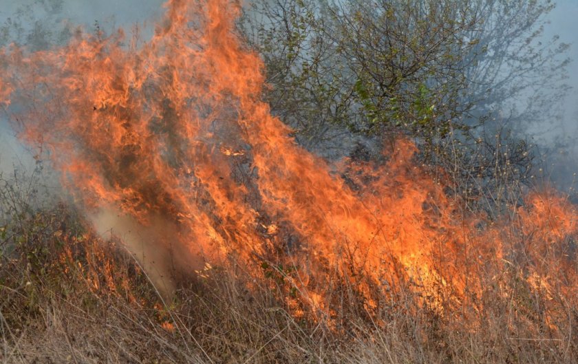 Тежка нощ за огнеборците, гасиха 118 пожара за ден
