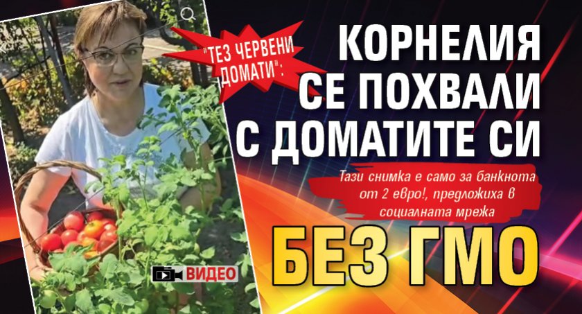 Тез червени домати: Корнелия се похвали с доматите си без ГМО (ВИДЕО)