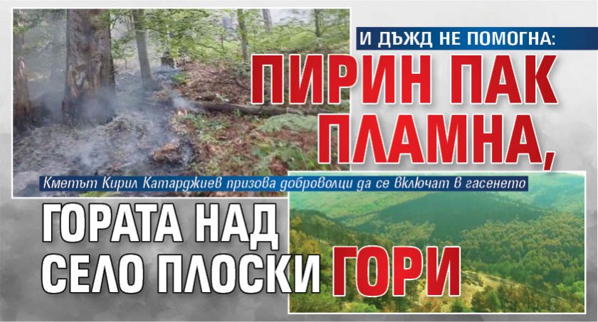 И ДЪЖД НЕ ПОМОГНА: Пирин пак пламна, гората над село Плоски гори