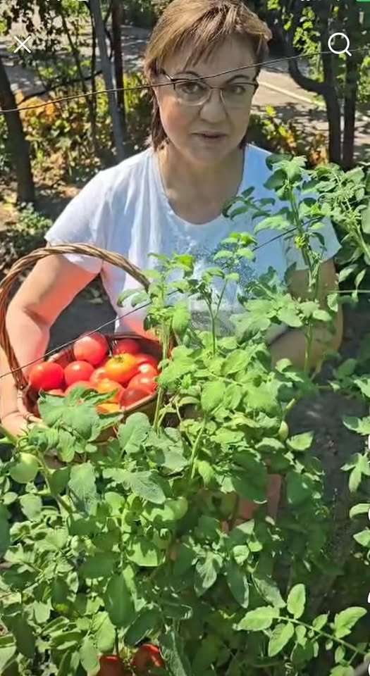 След редица демонстрации на кулинари умения - то не бяха