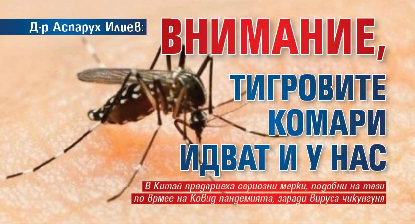 Д-р Аспарух Илиев: Внимание, тигровите комари идват и у нас