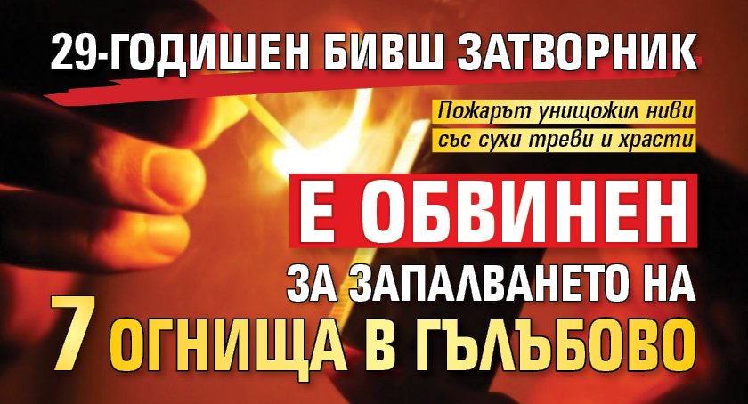 29-годишен бивш затворник е обвинен за запалването на 7 огнища в Гълъбово