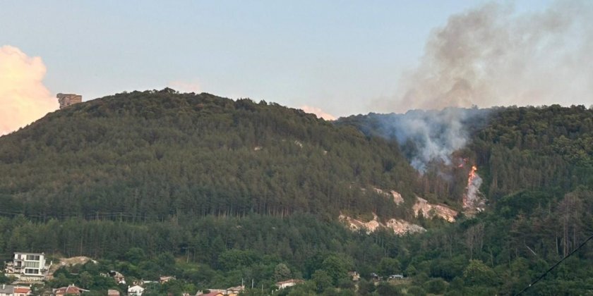 Пожар е избухнал в борова гора на Шуменското плато. За