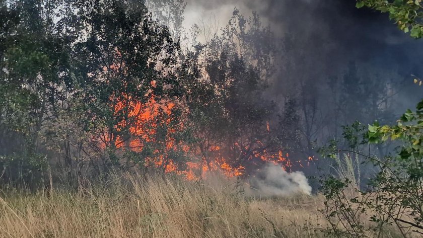 Пожарът край Обручище е локализиран 