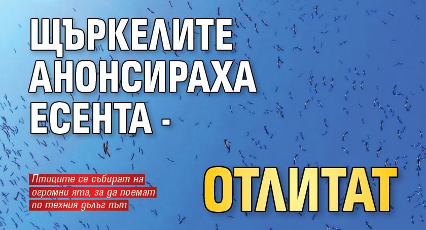 Щъркелите анонсираха есента - отлитат