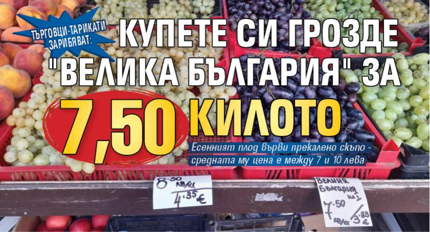 Търговци-тарикати зарибяват: Купете си грозде "Велика България" за 7,50 килото 