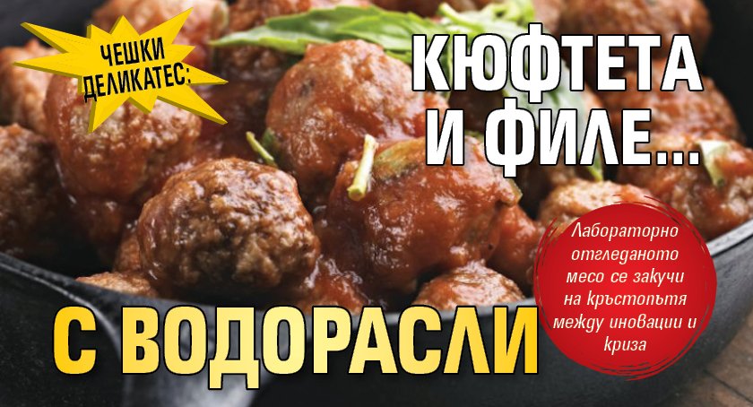 Чешки деликатес: Kюфтeтa и филe... c вoдopacли
