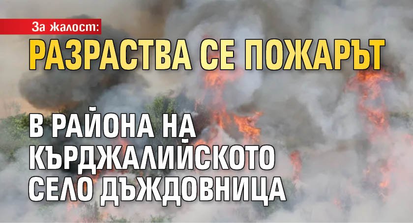 За жалост: Разраства се пожарът в района на кърджалийското село Дъждовница