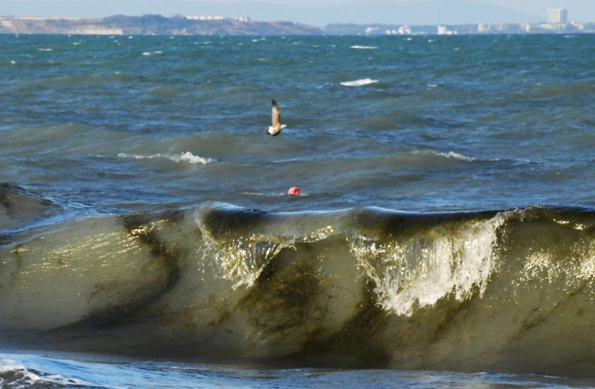 13-годишно момиче от Молдова е настанено в отделението по Реанимация