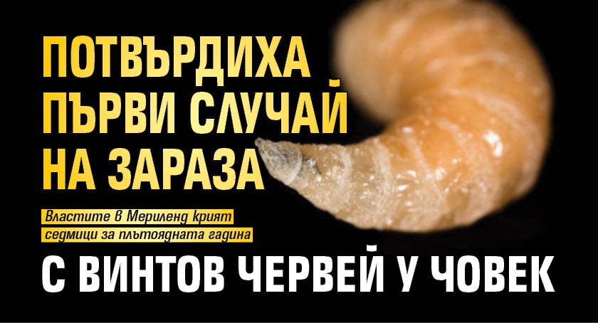 Потвърдиха първи случай на зараза с винтов червей у човек