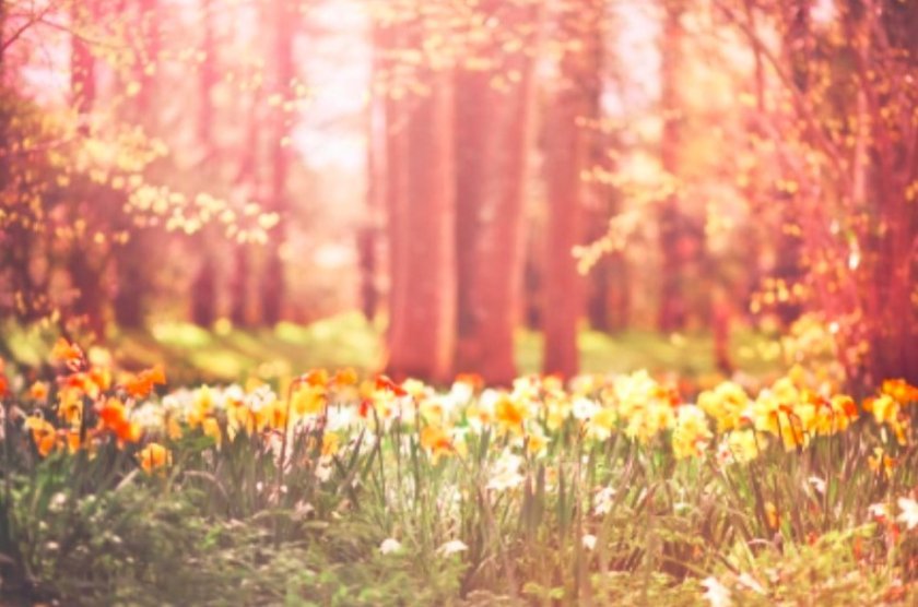 Август се оказа променлив досущ като март, макар и да