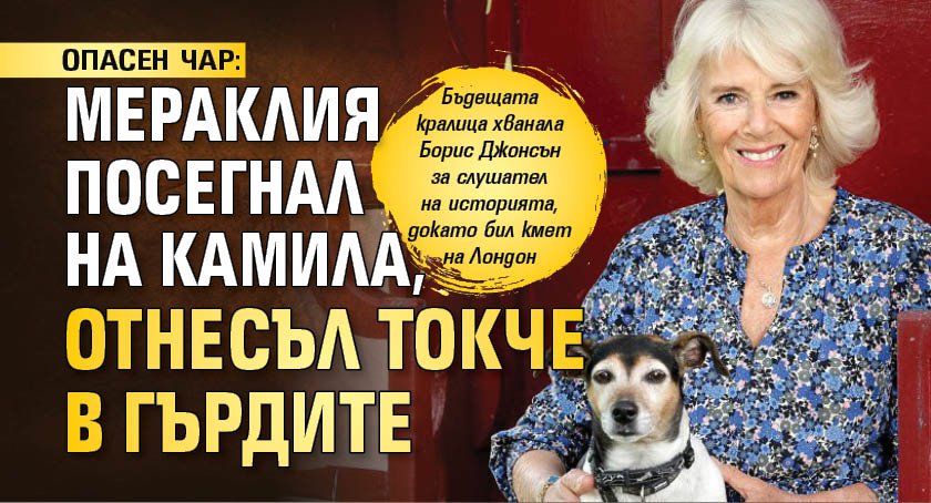 ОПАСЕН ЧАР: Мераклия посегнал на Камила, отнесъл токче в гърдите