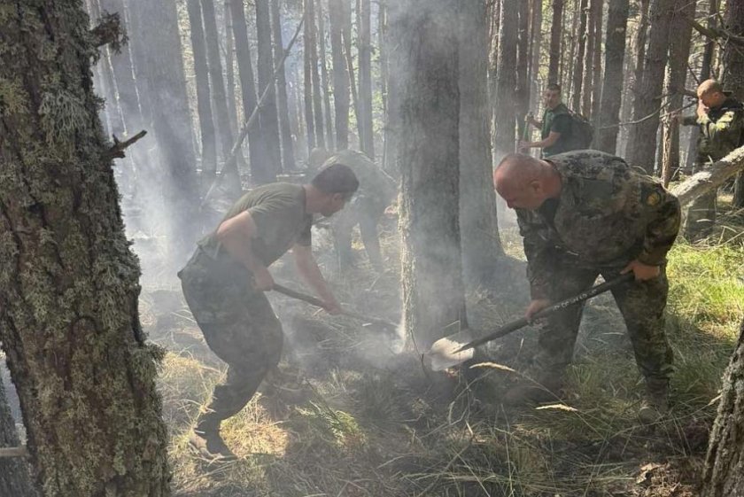 Трети ден се борят с огнената стихия в Рила