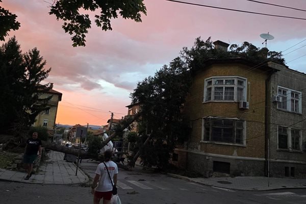 Мощна буря удари Кюстендил, кметът моли за помощ
