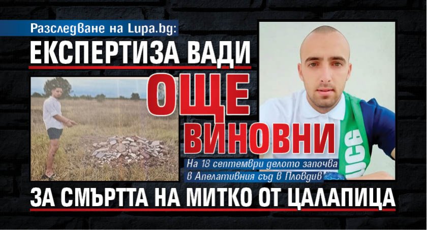 Разследване на Lupa.bg: Експертиза вади още виновни за смъртта на Митко от Цалапица