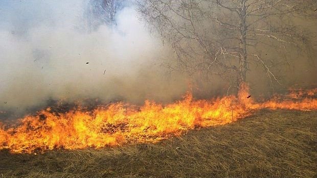 Държавата умува как да поправи безумен закон за земеделците