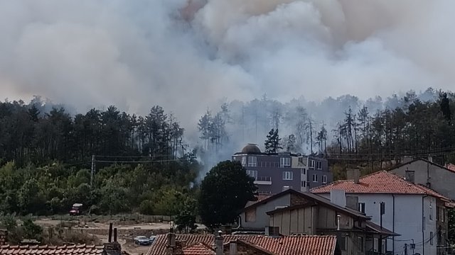 Пожарът край Варна е изпепелил 50 декара гора