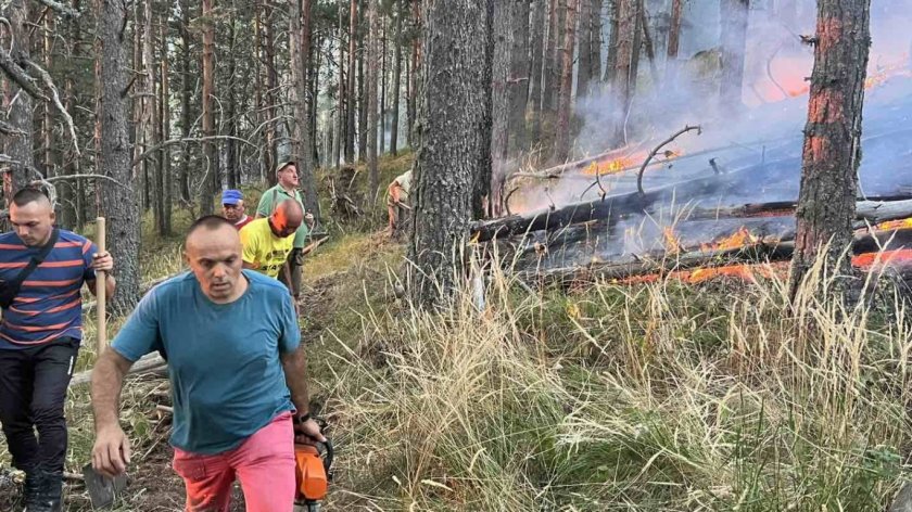 Димът стигна до Благоевград: Пожарът в Национален парк "Рила" се разраства